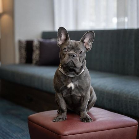 Hampton Inn Cleveland-Downtown Екстер'єр фото